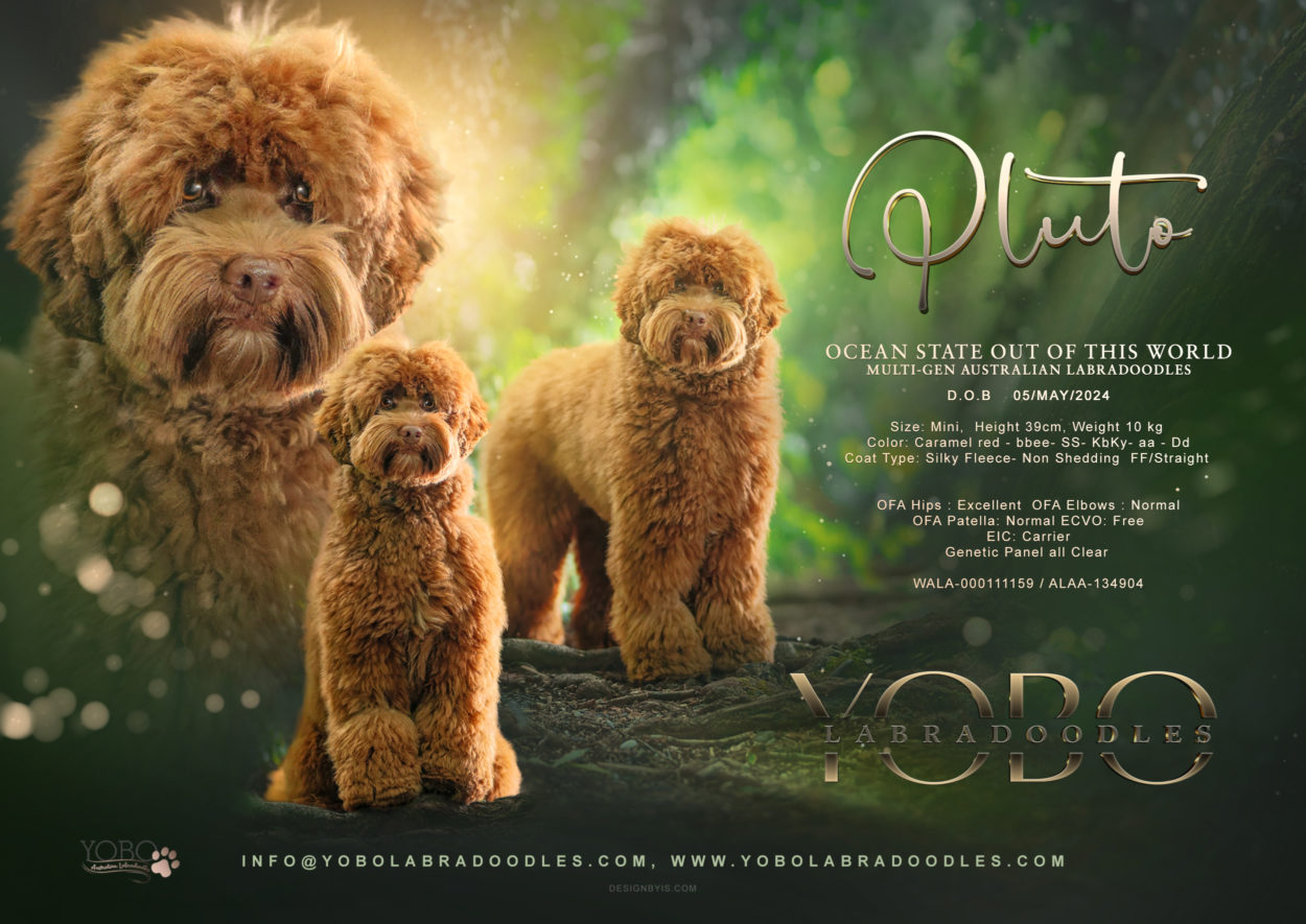 Ocean State out of this world aka Pluto. YOBO