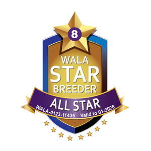 Wlla-star-3