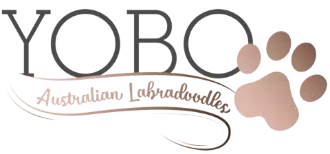 logo-header-op