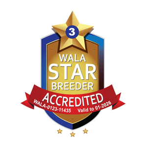wala-star-1