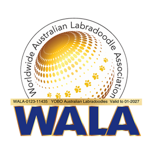walla-header