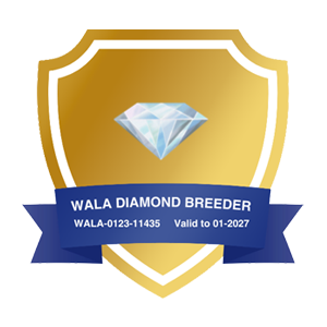 walla-star-4